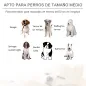 Sofá para Mascotas