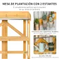 Mesa de Plantación