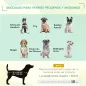 Cama Elevada para Mascotas