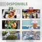 Compostador de Tambor