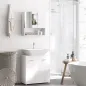 Armario de Baño con Espejo