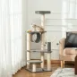Árbol para Gatos Árbol para Gatos