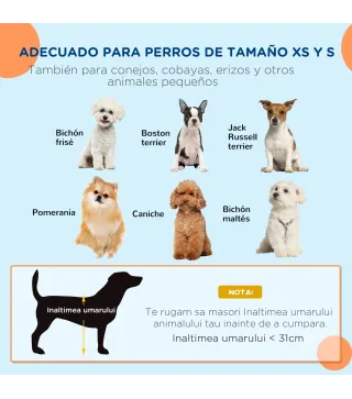 Conjunto para Mascotas