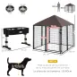 Conjunto para Mascotas