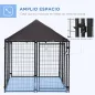 Conjunto para Mascotas