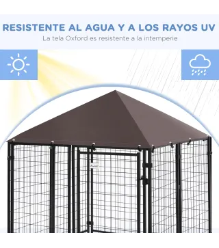 Conjunto para Mascotas