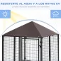 Conjunto para Mascotas