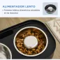Conjunto para Mascotas