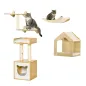 Conjunto para Gatos
