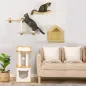 Conjunto para Gatos