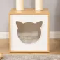 Conjunto para Gatos