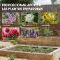 Enrejados de Jardín