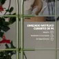 Enrejados de Jardín