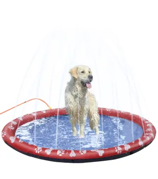 Splash Pad Mascotas