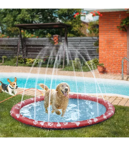 Splash Pad Mascotas