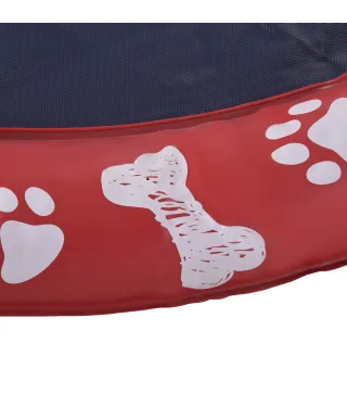Splash Pad Mascotas