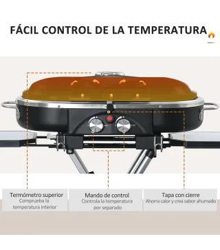 Barbacoa de Gas