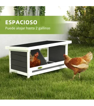 Ponederos para Gallinas