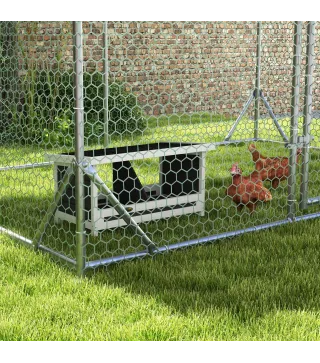 Ponederos para Gallinas