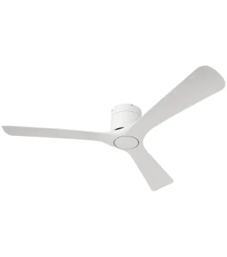 Ventilador de Techo