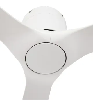 Ventilador de Techo