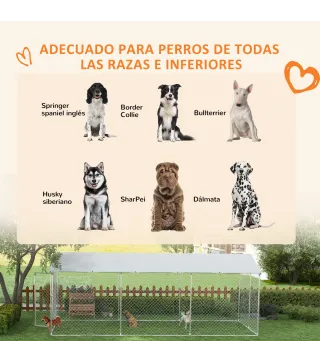 Perrera