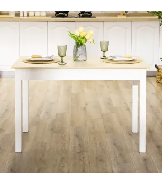 Conjunto de Comedor