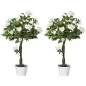 Rosas Artificiales