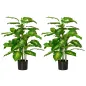 Plantas Artificiales Plantas Artificiales
