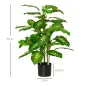 Plantas Artificiales Plantas Artificiales