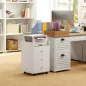 Cajonera de Oficina