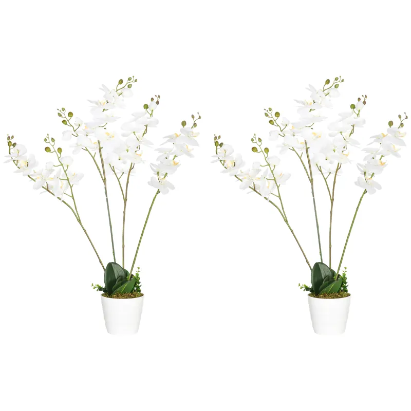 Phalaenopsis Artificiales Phalaenopsis Artificiales