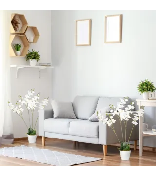 Phalaenopsis Artificiales