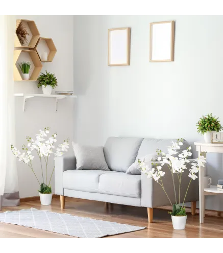 Phalaenopsis Artificiales