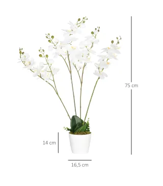 Phalaenopsis Artificiales