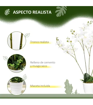 Phalaenopsis Artificiales