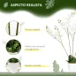 Phalaenopsis Artificiales Phalaenopsis Artificiales