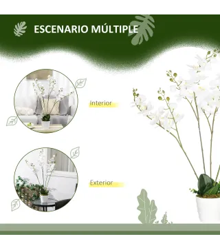 Phalaenopsis Artificiales