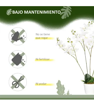Phalaenopsis Artificiales
