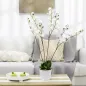 Phalaenopsis Artificiales Phalaenopsis Artificiales