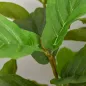 Plantas Artificiales Plantas Artificiales