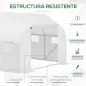 Conjunto de Invernadero