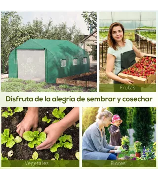 Conjunto de Invernadero