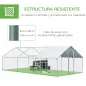 Conjunto de Gallinero