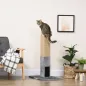 Poste Rascador Gatos