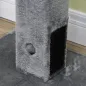 Poste Rascador Gatos