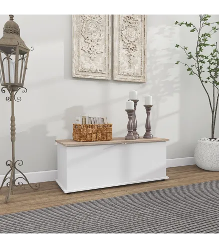 Arcón de Almacenamiento con Tapa Carga Máx. 120 kg para Dormitorio Salón 100x40x40 cm Natural y Blanco