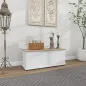 Baúl de Almacenaje