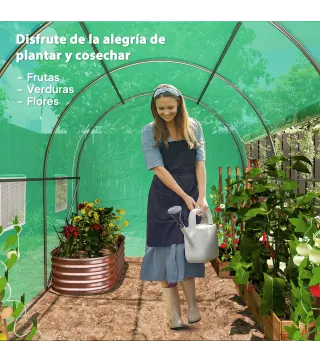 Invernadero de Túnel