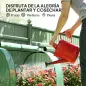 Invernadero Pequeño Invernadero de Jardín para Cultivo de Plantas con 4 Ventanas Enrollables 400x100x80 cm Verde